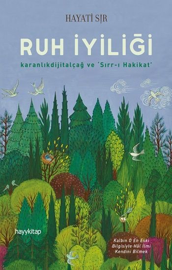 Ruh İyiliği - Hayykitap Kitap