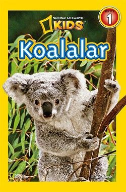 Koalalar - Beta Kids Kitap