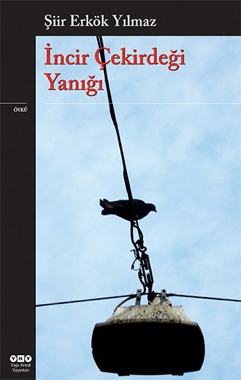 İncir Çekirdeği Yanığı - Yapı Kredi Yayınları Kitap
