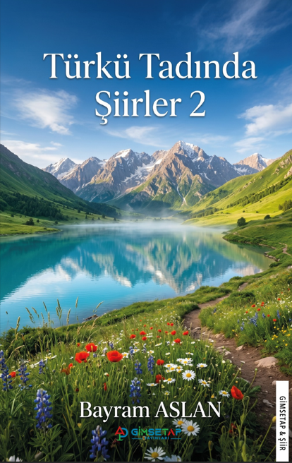 Türkü Tadında Şiirler 2 - Gimsetap Yayınları Kitap