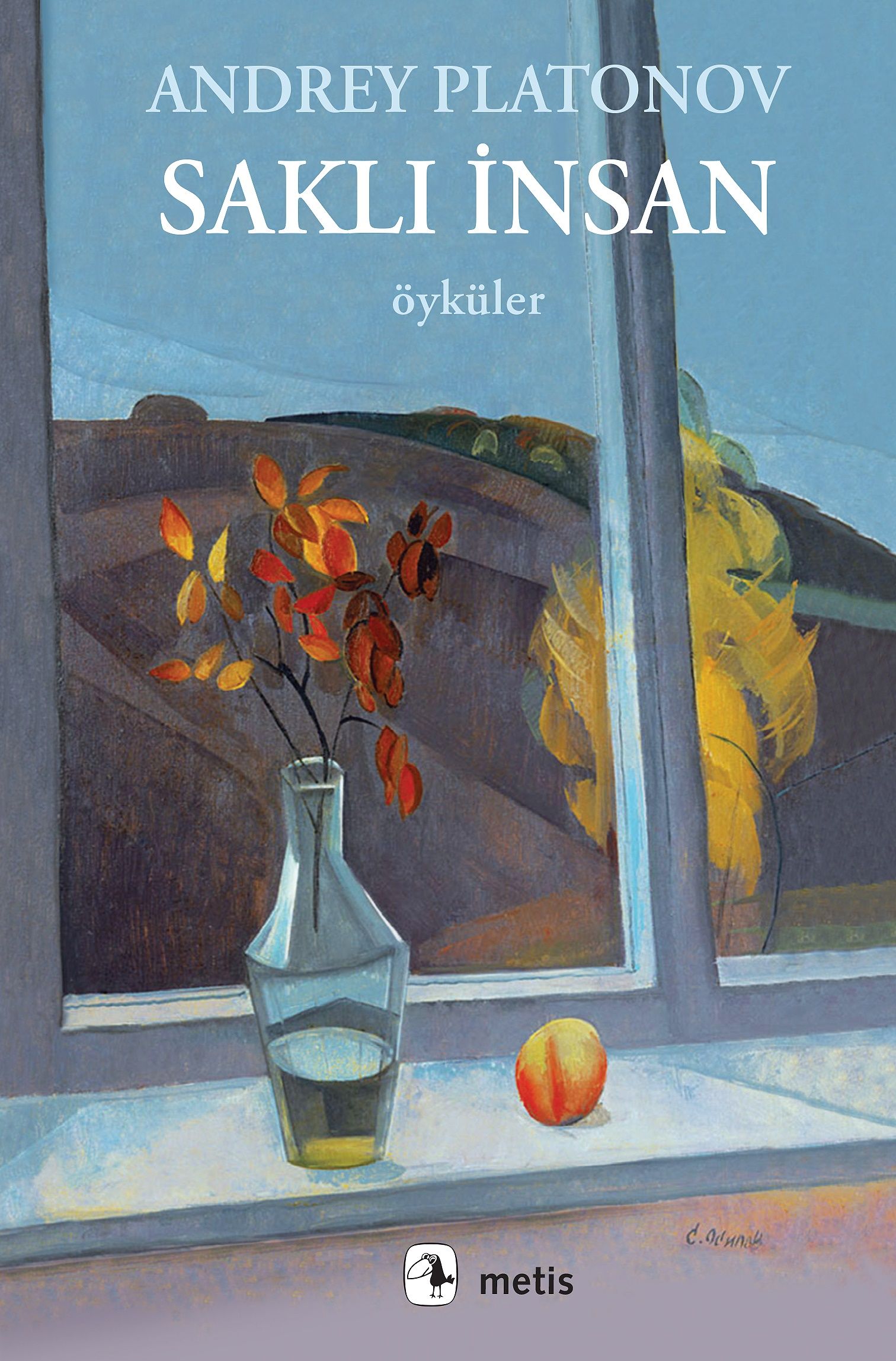 Saklı İnsan - Metis Yayınları Kitap