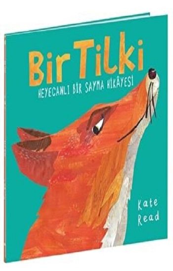 BİR TİLKİ Heyecanlı Bir Sayma Hikayesi - Beta Kids Kitap