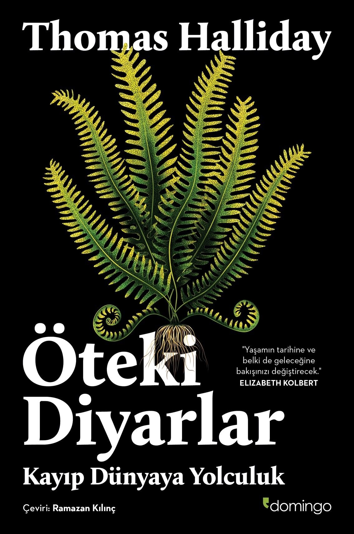 Öteki Diyarlar: Kayıp Dünyaya Yolculuk - Domingo Yayınevi Kitap