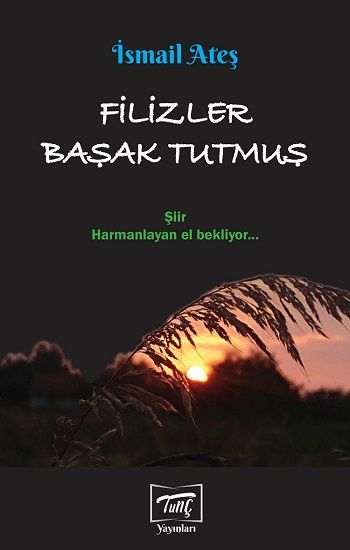 Filizler Başak Tutmuş - Tunç Yayınları Kitap