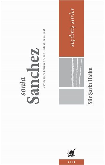 Şiir Şarkı Haiku - Ayrıntı Yayınları Kitap