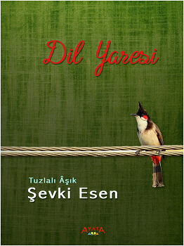 Dil Yaresi - Ayata Kitap Kitap