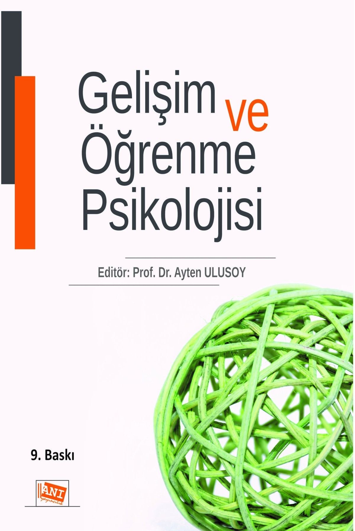 Gelişim ve Öğrenme Psikolojisi - Anı Yayıncılık Kitap