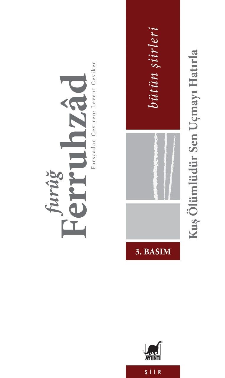 Kuş Ölümlüdür Sen Uçmayı Hatırla - Ayrıntı Yayınları Kitap