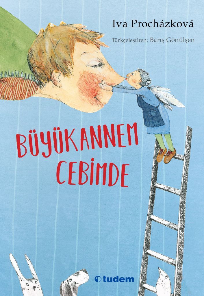 Büyükannem Cebimde - Tudem Yayınları Kitap