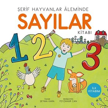 Sayılar - Uçan Kitap Kitap