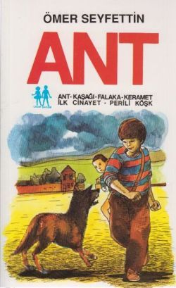 Ant - Oda Yayınları Kitap
