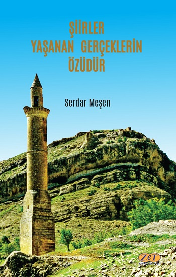 Şiirler Yaşanan Gerçeklerin Özüdür - Zet Yayınları Kitap