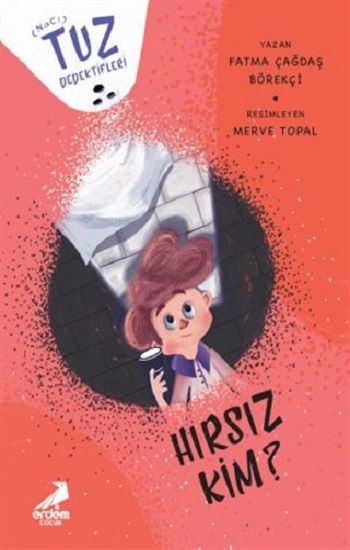 Hırsız Kim? - Tuz Dedektifleri - Erdem Çocuk Kitap