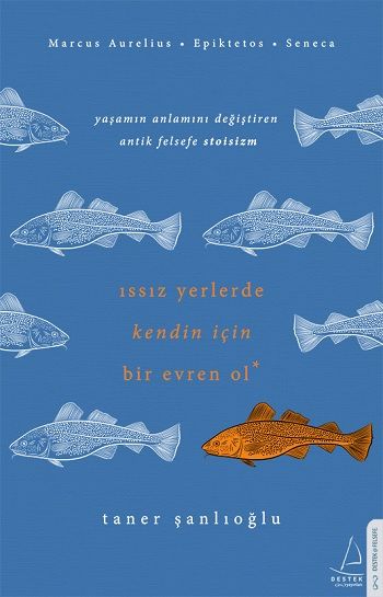 Issız Yerlerde Kendin İçin Bir Evren Ol - Destek Yayınları Kitap