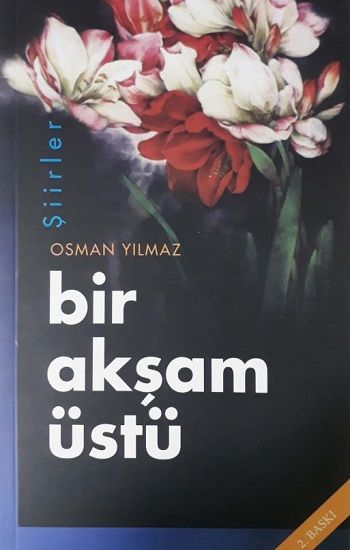 Bir Akşam Üstü - SFN Yayınları Kitap