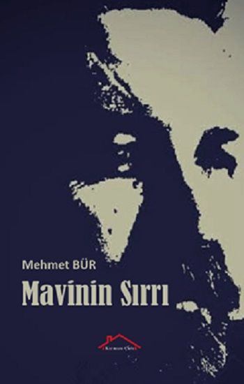 Mavinin Sırrı - Kırmızı Çatı Yayınları Kitap