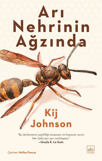 Arı Nehrinin Ağzında - İthaki Yayınları Kitap