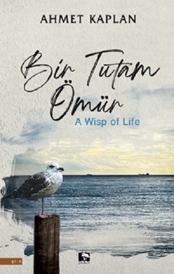 Bir Tutam Ömür - Çınaraltı Yayınları Kitap