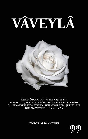 Vaveyla - Doksan Dokuz Yayınları Kitap