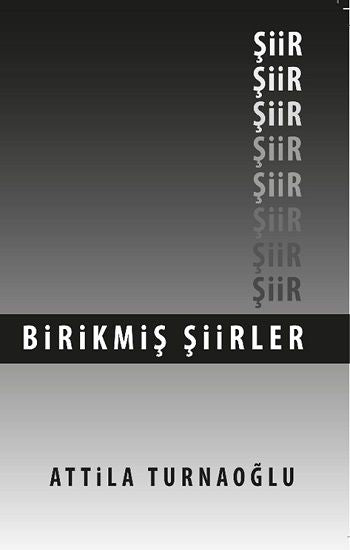 Birikmiş Şiirler - İmgenin Çocukları Kitap