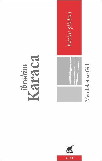 Memleket ve Gül - Bütün Şiirleri - Ayrıntı Yayınları Kitap