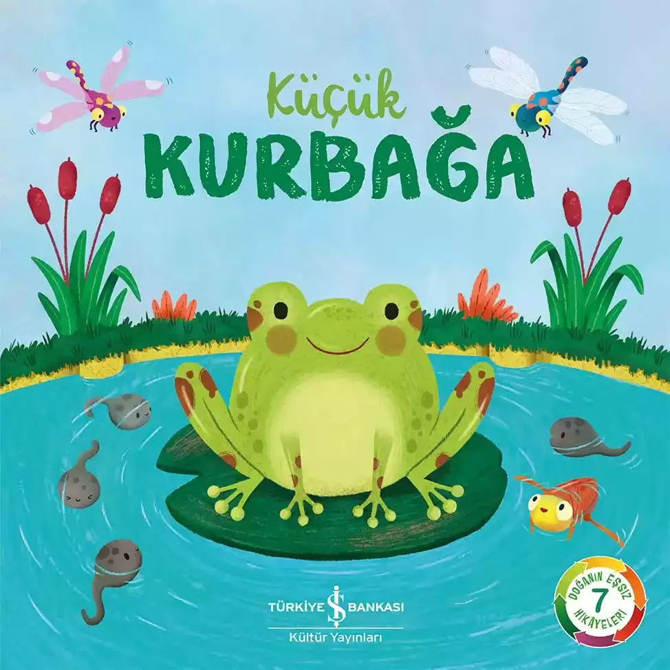 Küçük Kurbağa - İş Bankası Kültür Yayınları Kitap