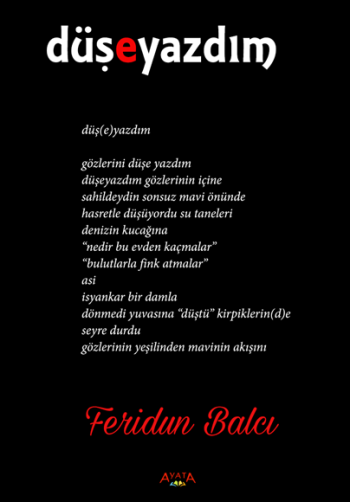 Düşeyazdım - Ayata Kitap Kitap