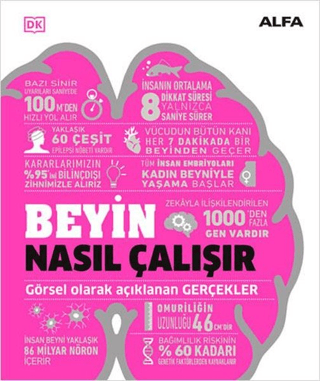 Beyin Nasıl Çalışır (Ciltli) - Alfa Yayınları Kitap