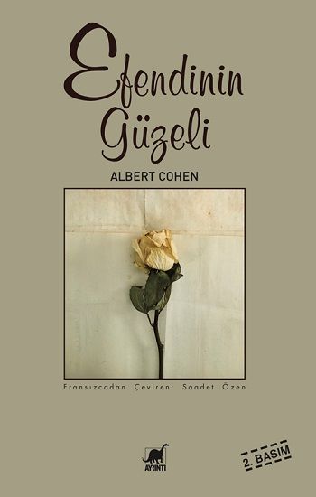 Efendinin Güzeli - Ayrıntı Yayınları Kitap