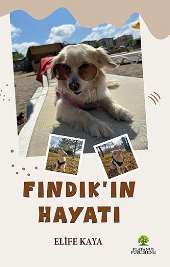 Fındık'ın Hayatı - Platanus Publishing Kitap