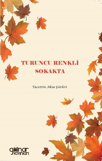 Turuncu Renkli Sokakta - Gülnar Yayınları Kitap