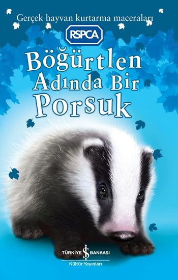 Böğürtlen Adında Bir Porsuk - İş Bankası Kültür Yayınları Kitap