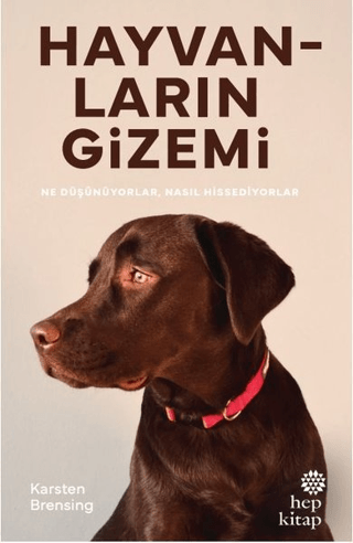 Hayvanların Gizemi - Hep Kitap Kitap