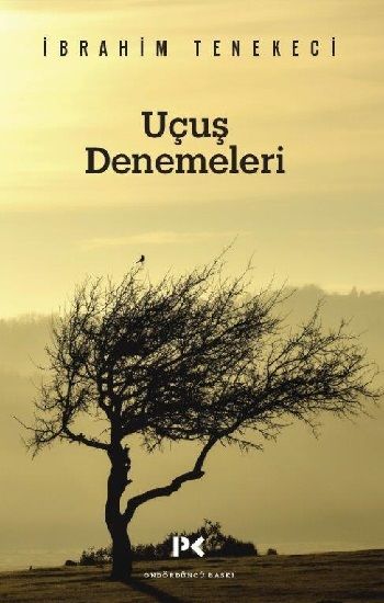 Uçuş Denemeleri - Profil Kitap Kitap