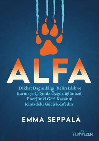 Alfa - Yediveren Yayınları Kitap