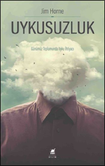 Uykusuzluk - Ayrıntı Yayınları Kitap