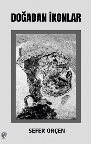 Doğadan İkonlar - Platanus Publishing Kitap