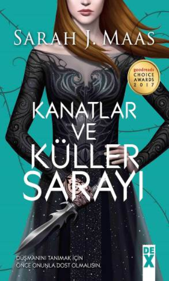 Kanatlar ve Küller Sarayı - Dex Yayınevi Kitap