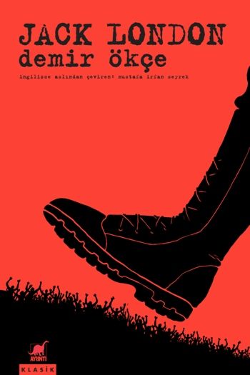 Demir Ökçe - Ayrıntı Yayınları Kitap