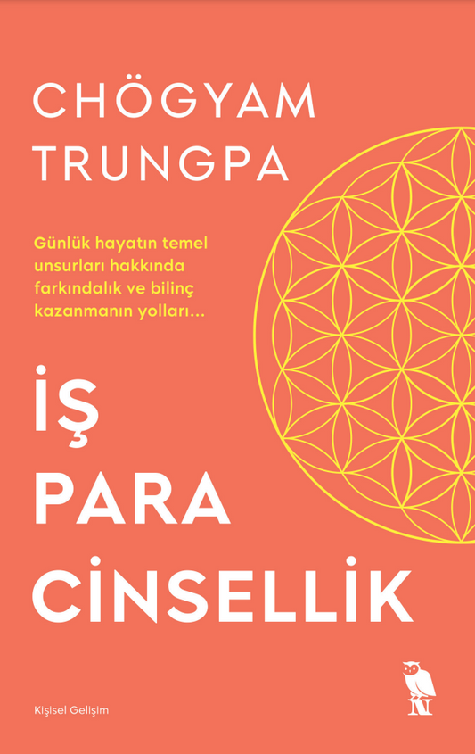 İş Para Cinsellik - Nemesis Kitap Kitap