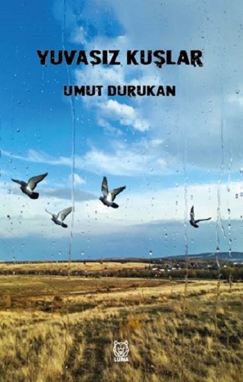 Yuvasız Kuşlar - Luna Yayınları Kitap
