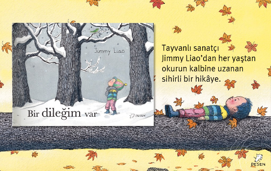 Bir Dileğim Var - Desen Yayınları Kitap