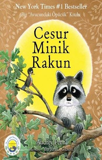 Cesur Minik Rakun - Butik Yayınları Kitap