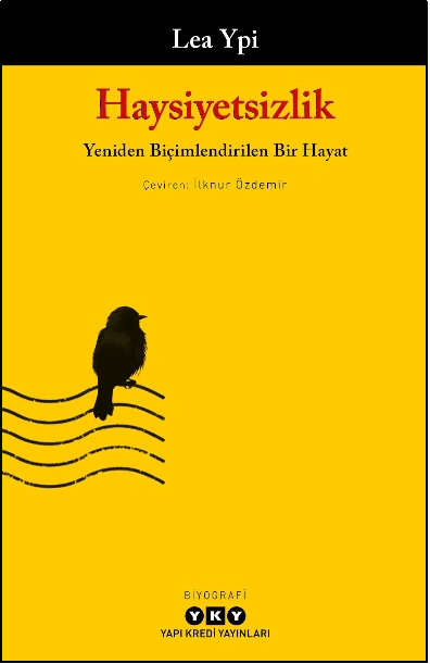 Haysiyetsizlik - Yapı Kredi Yayınları Kitap