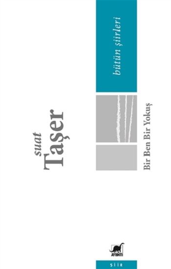Bir Ben Bir Yokuş - Ayrıntı Yayınları Kitap