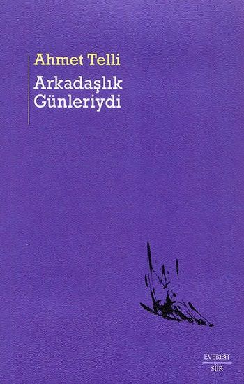 Arkadaşlık Günleriydi - Everest Yayınları Kitap