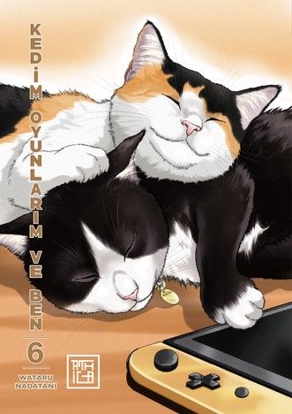 Kedim Oyunlarım ve Ben 6 - Athica Yayınları Kitap