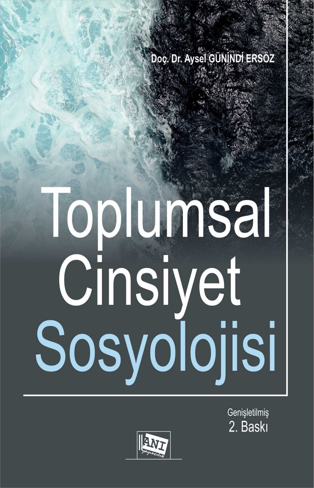 Toplumsal Cinsiyet Sosyolojisi - Anı Yayıncılık Kitap