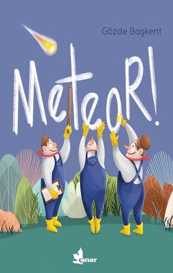 Meteor - Çınar Yayınları Kitap