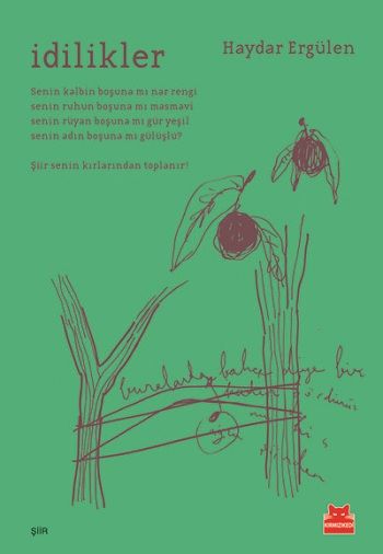 İdilikler - Kırmızı Kedi Yayınevi Kitap